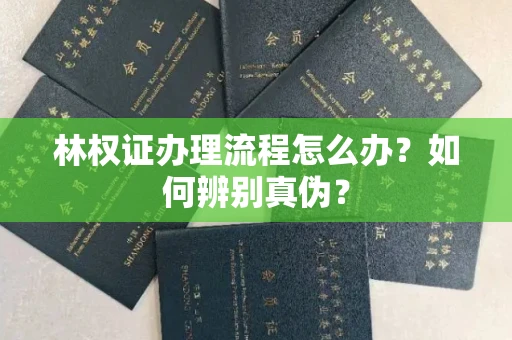 全国林权证办理流程怎么办?如何辨别真伪?