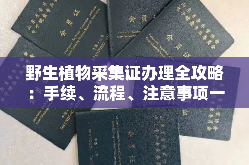 全国野生植物采集证办理全攻略：手续、流程、注意事项一网打尽